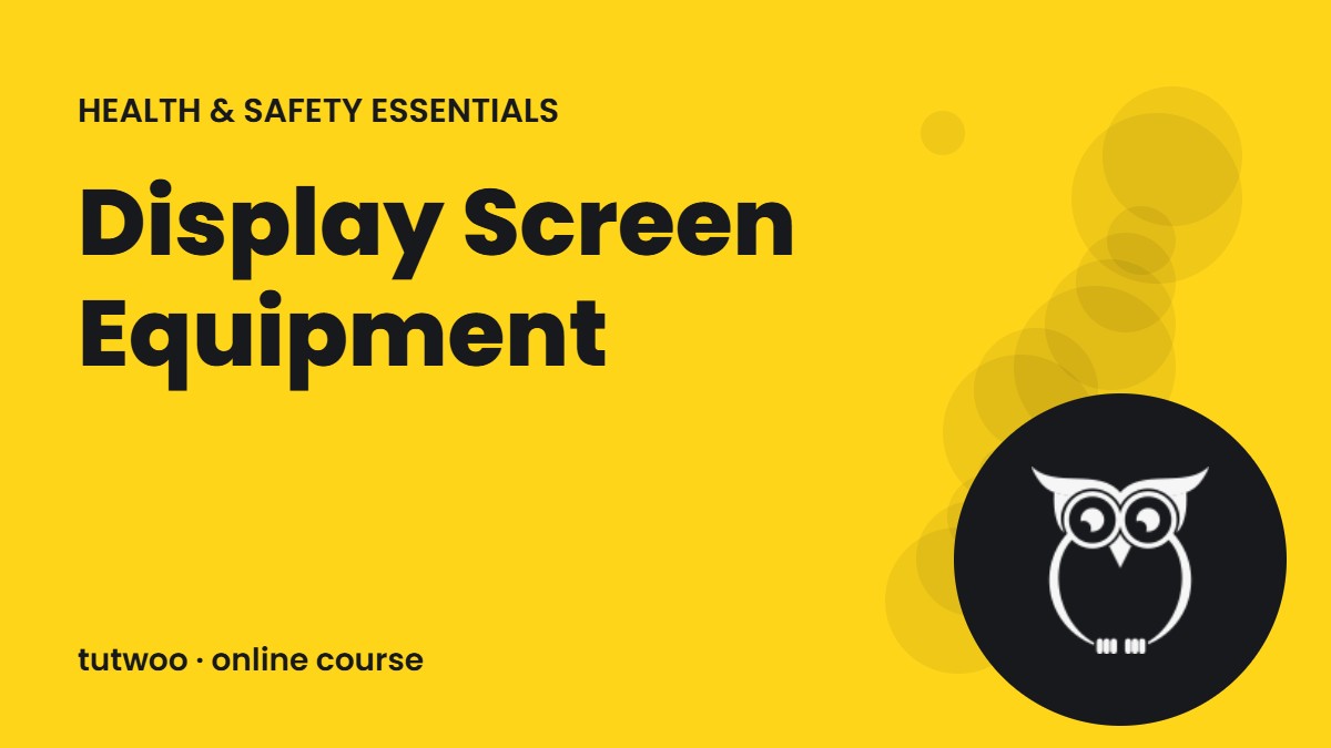 Display Screen Equipment (DSE)