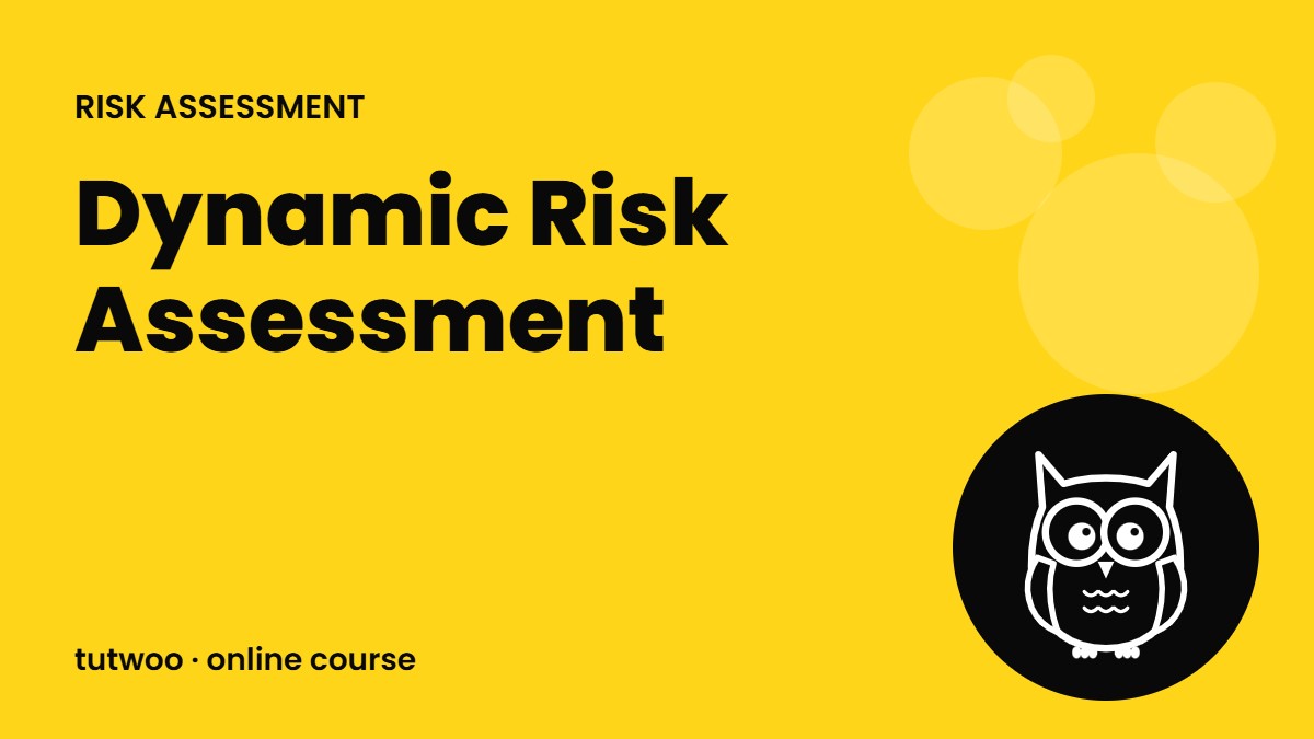 Dynamic Risk Assessment