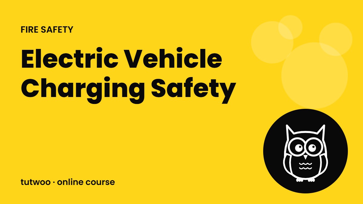 Electric Vehicle Charging Safety