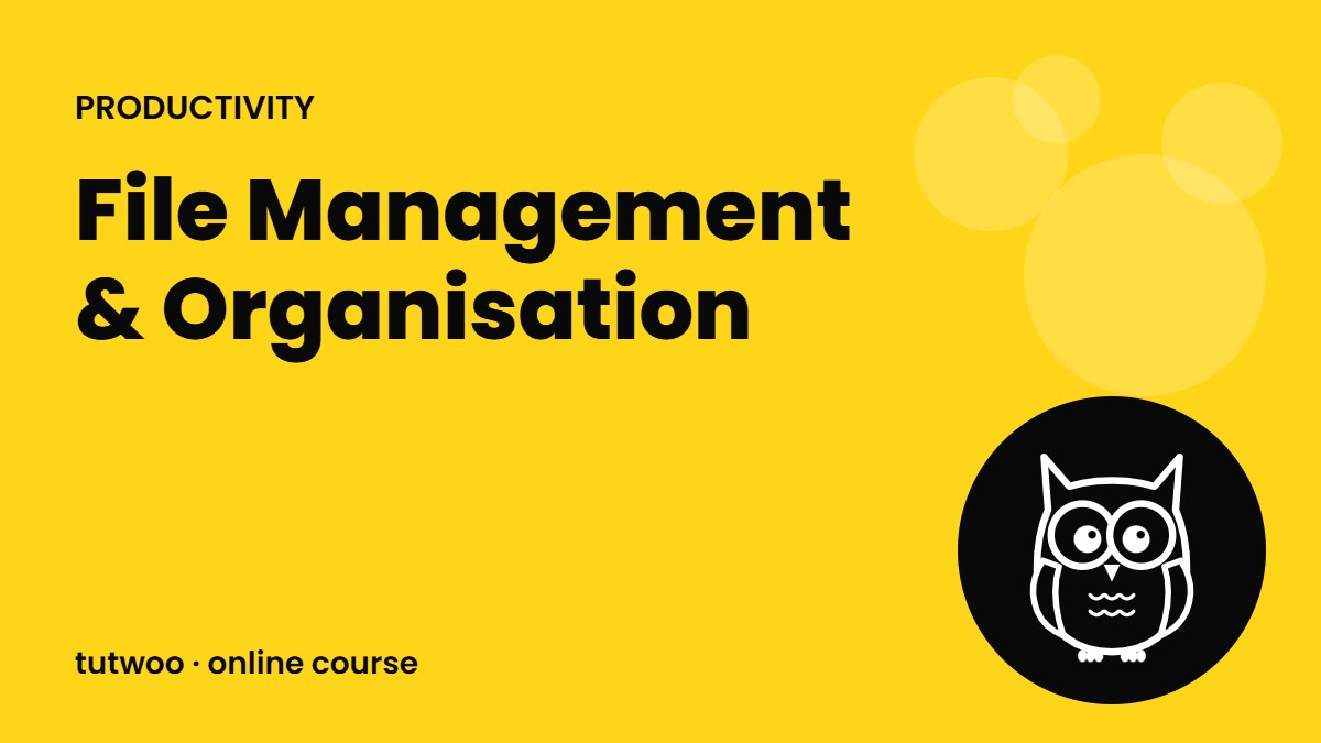 File Management & Organisation