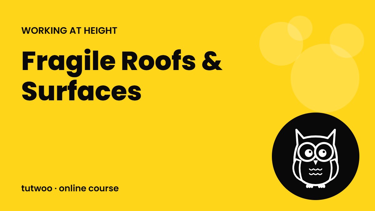 Fragile Roofs & Surfaces