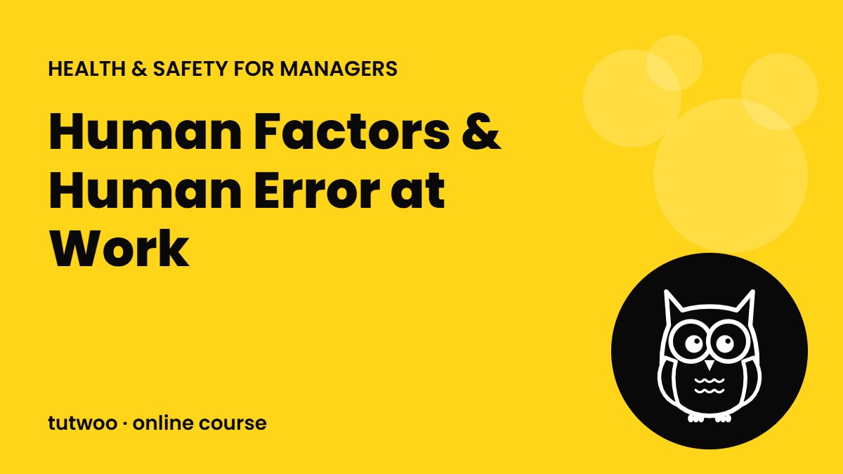 Human Factors & Human Error at Work