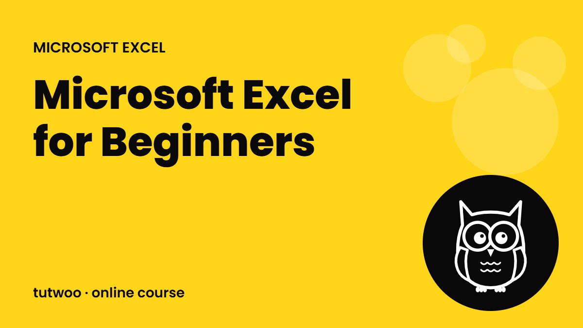 Microsoft Excel for Beginners
