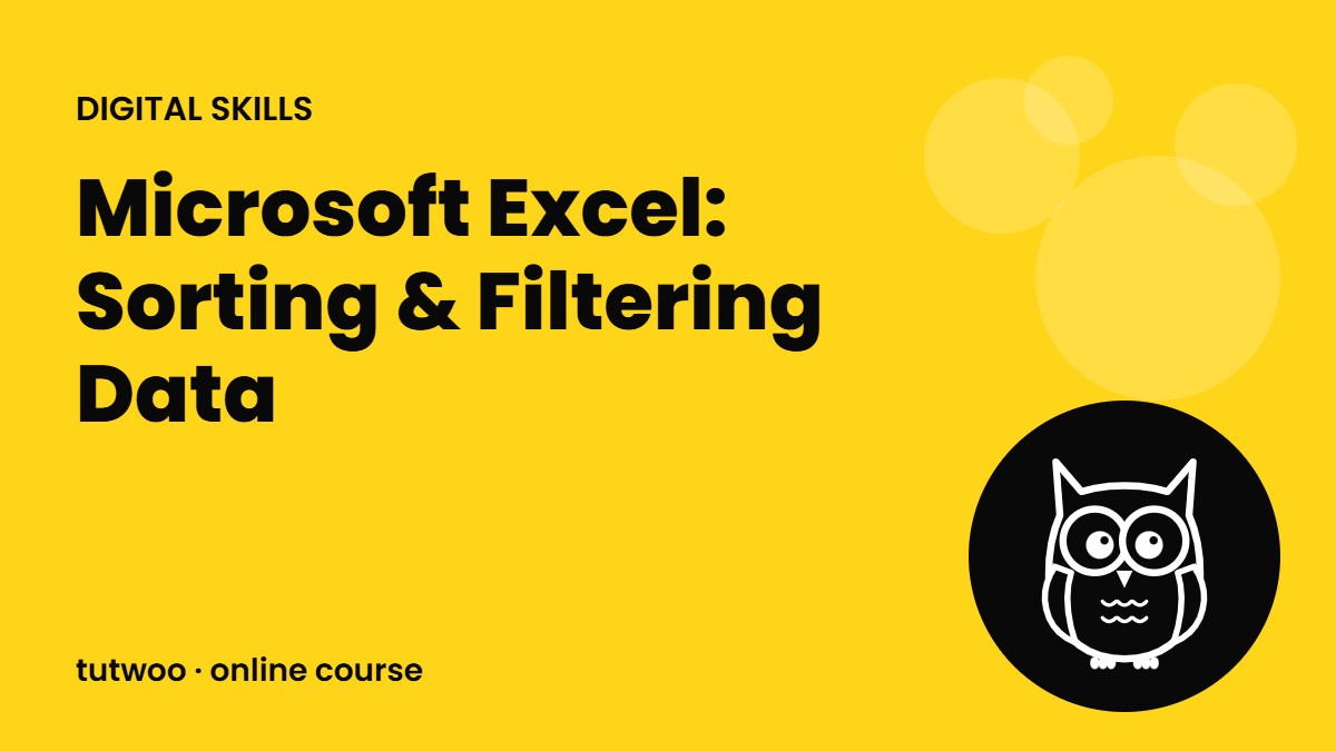 Microsoft Excel: Sorting & Filtering Data