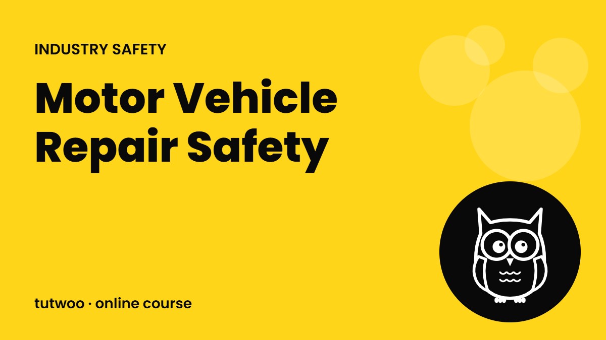 Motor Vehicle Repair Safety