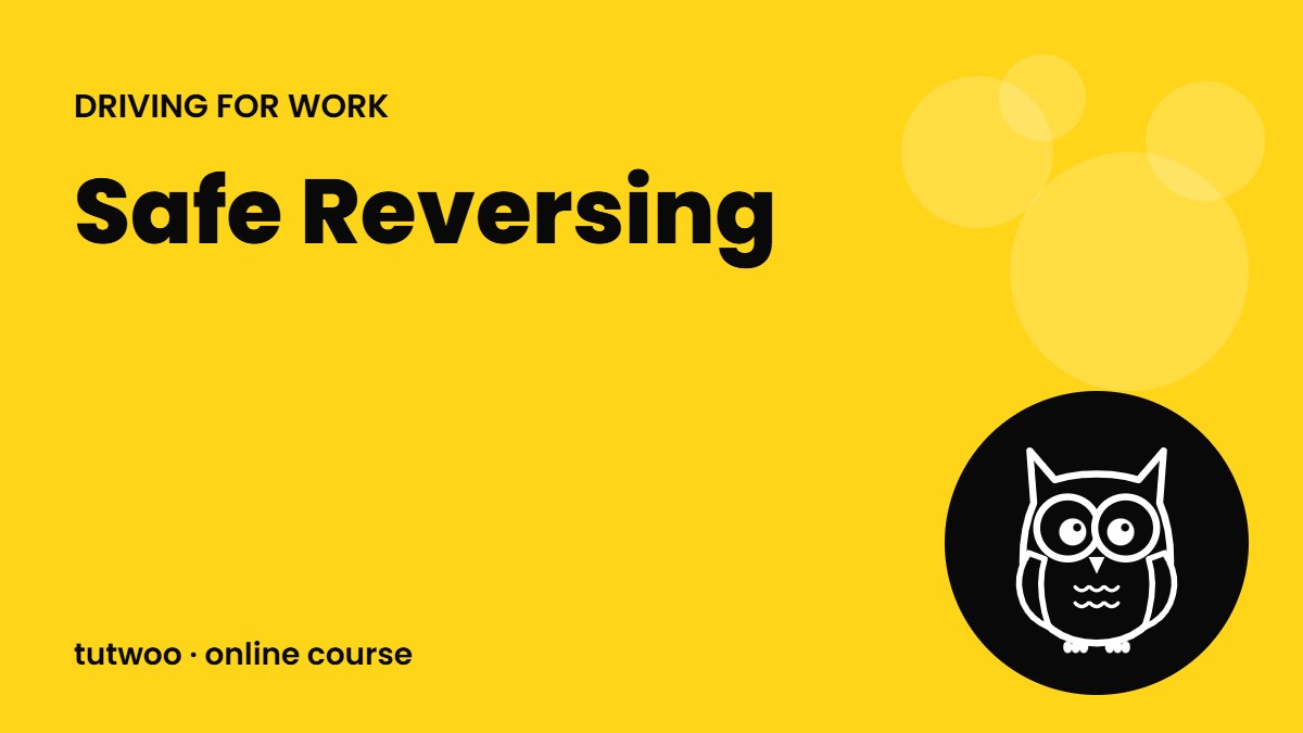 Safe Reversing