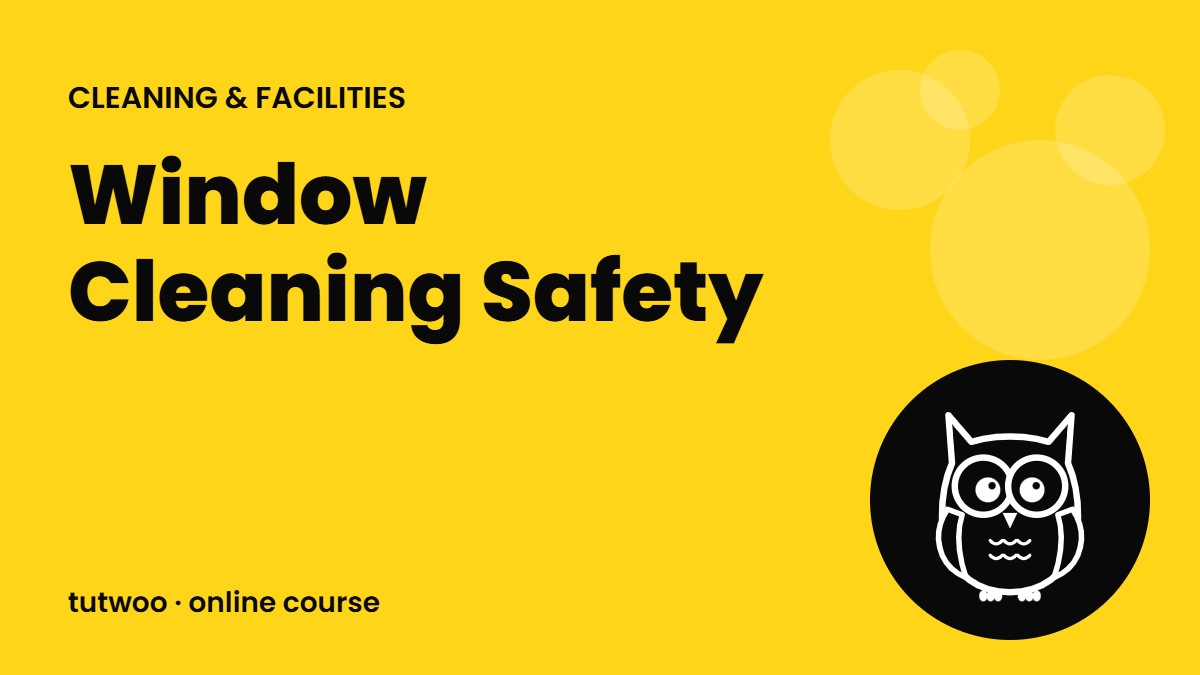 Window Cleaning Safety