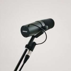 A black microphone on a stand against a white background